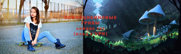 a pvp Аркадак