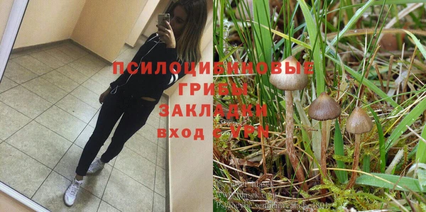 не бодяженный Армянск