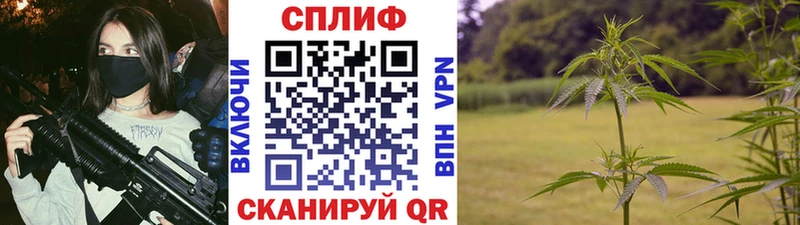 Каннабис White Widow  Билибино 